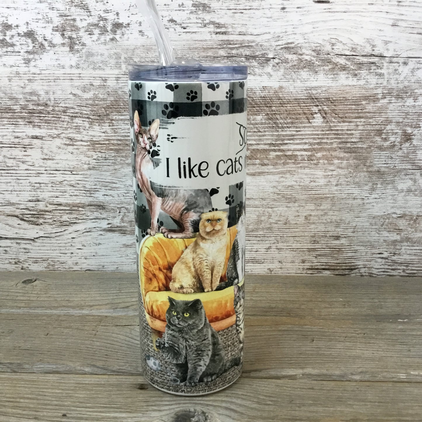 I Like Cats More Than People Skinny Tumbler with Straw & Lid