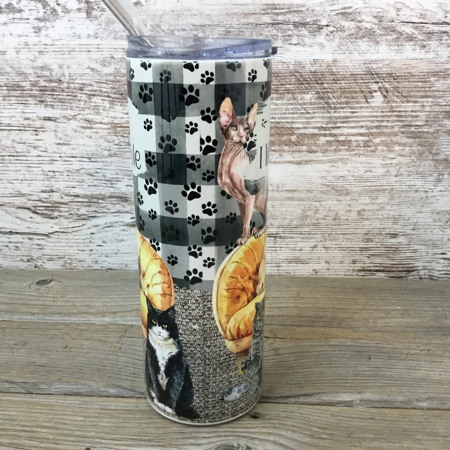 I Like Cats More Than People Skinny Tumbler with Straw & Lid