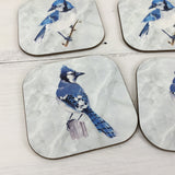 Blue Jay Drink Coasters Set of 4