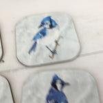 Blue Jay Drink Coasters Set of 4