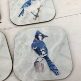 Blue Jay Drink Coasters Set of 4