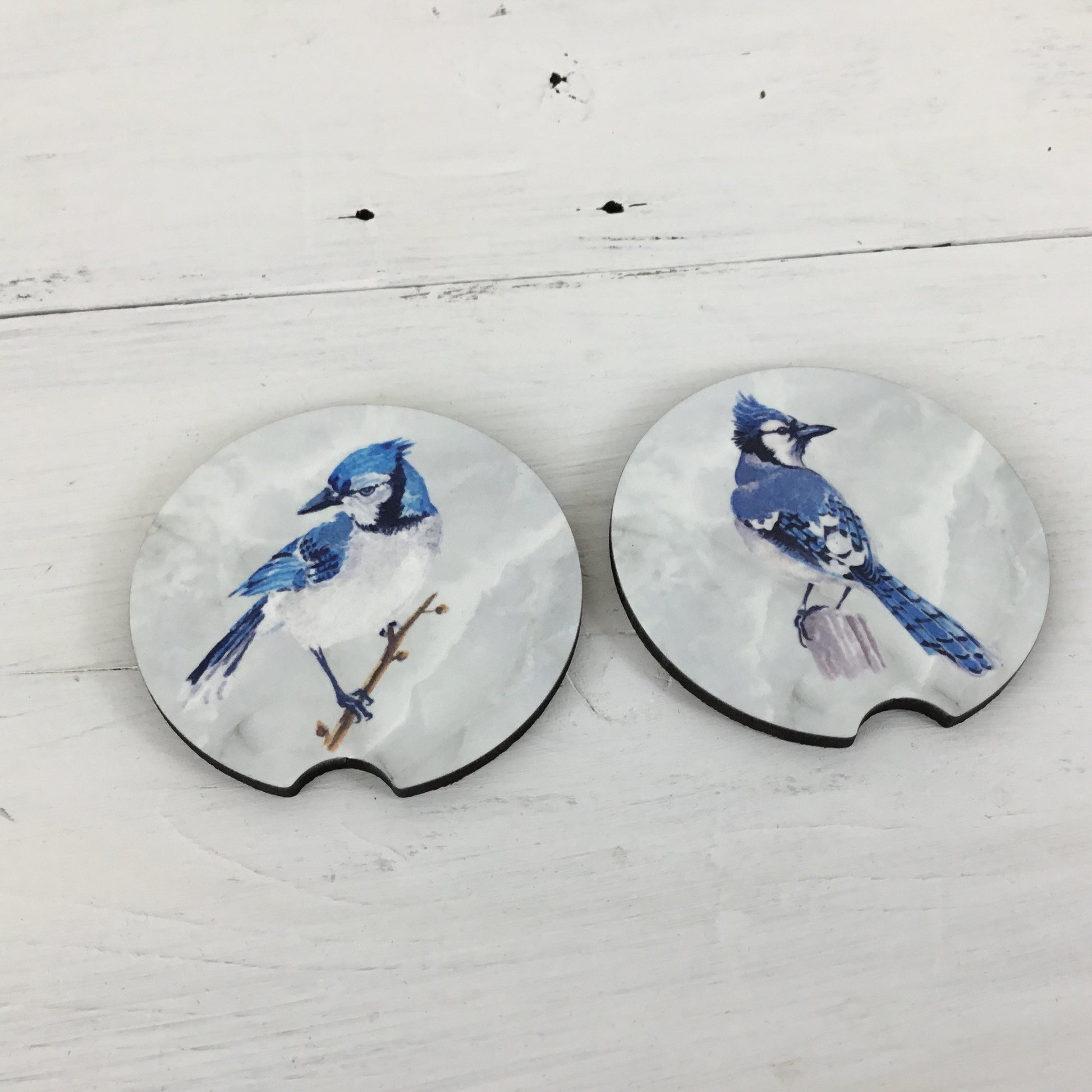 Blue Jay Car Coasters