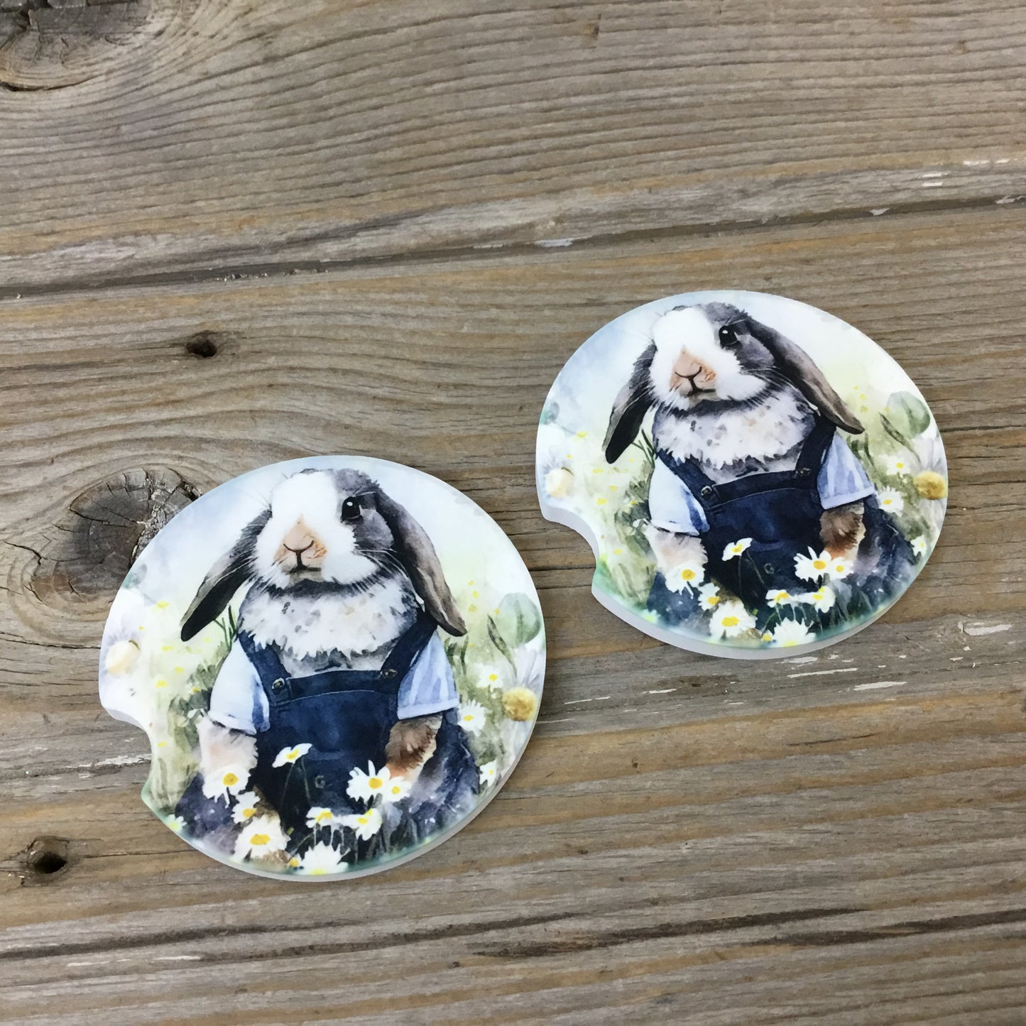 Bunny Rabbit in Bib Overalls Car Coasters, Set of 2