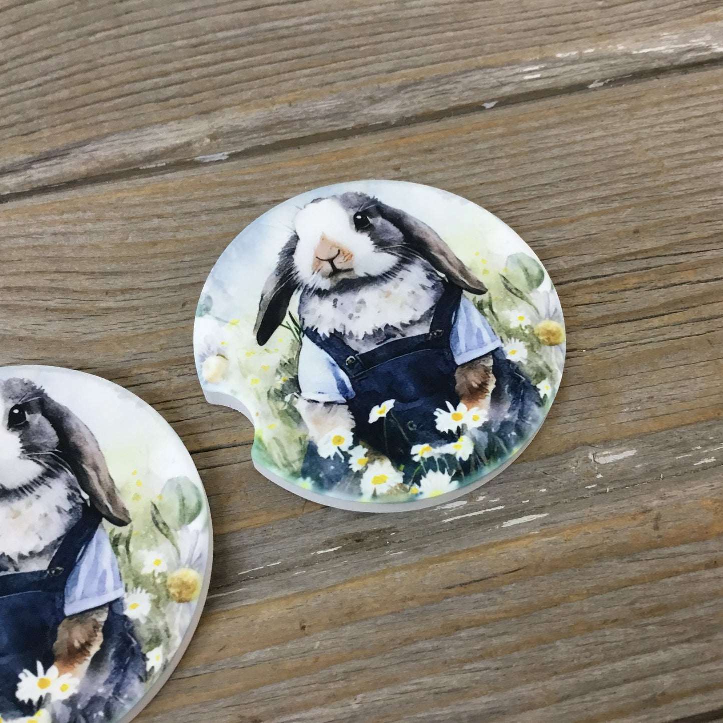 Bunny Rabbit in Bib Overalls Car Coasters, Set of 2