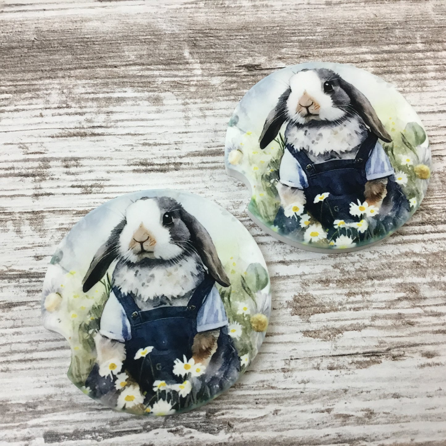 Bunny Rabbit in Bib Overalls Car Coasters, Set of 2