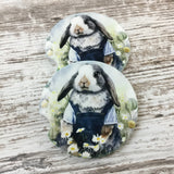 Bunny Rabbit in Bib Overalls Car Coasters, Set of 2