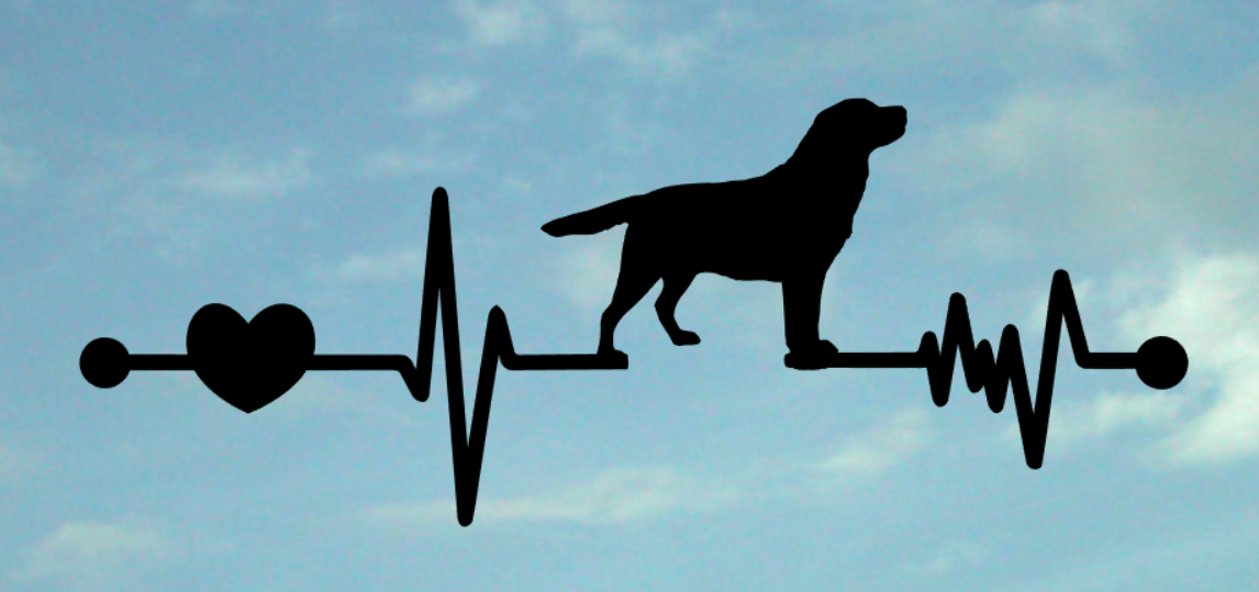 Labrador Ekg Vinyl Decal