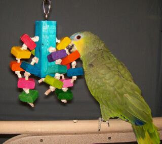 Chiefer's Chunks Medium Bird Toy