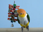 Small Shredalittle Small Bird Toy